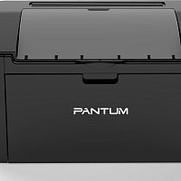 Ремонт принтеров PANTUM P2516